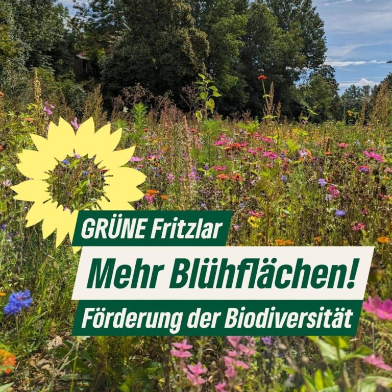 Mehr Blühwiesen für mehr Artenschutz!